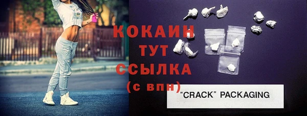 дживик Арсеньев