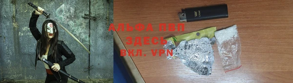 spice Аркадак