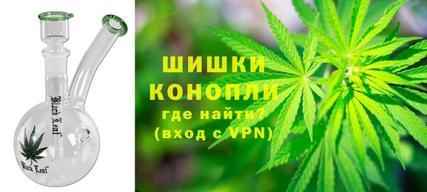 spice Аркадак